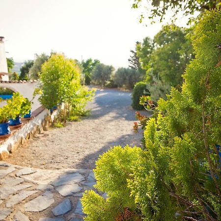 Maison d'hôtes Cuevas De Rolando à Guadix Extérieur photo
